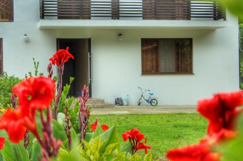 Guest House Sirius Pizunda Exterior foto